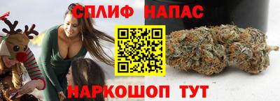 ешки Гай