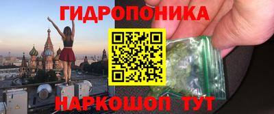 ПСИЛОЦИБИНОВЫЕ ГРИБЫ Гатчина
